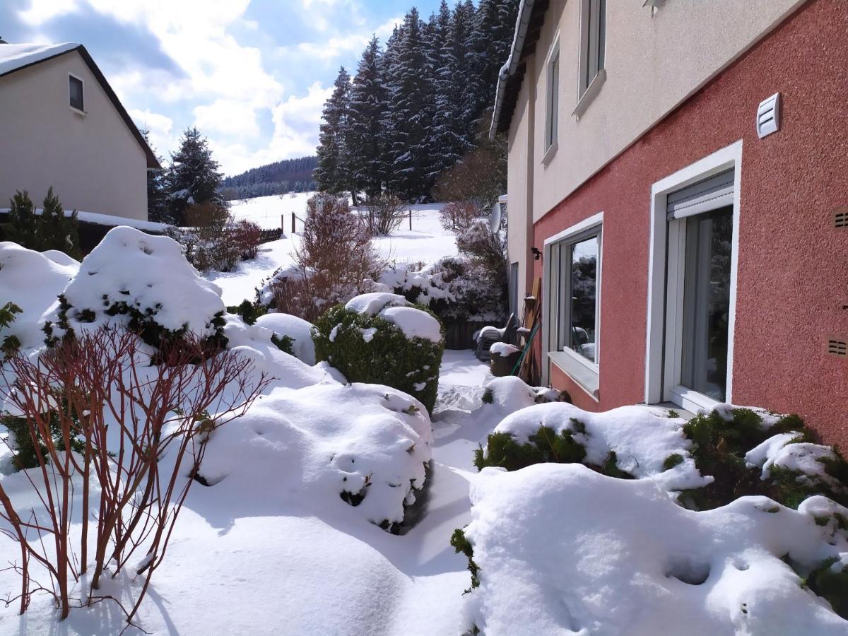Ferienwohnung Eschenberg Winterberg Exteriér fotografie